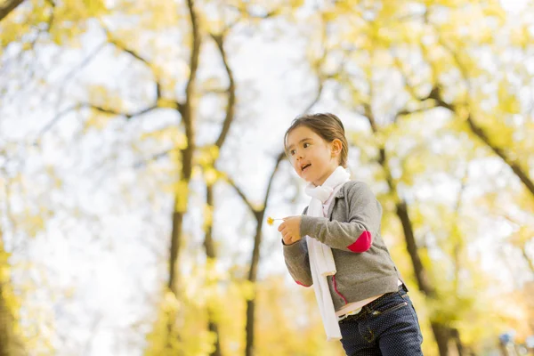 Menina no parque de outono — Fotografia de Stock