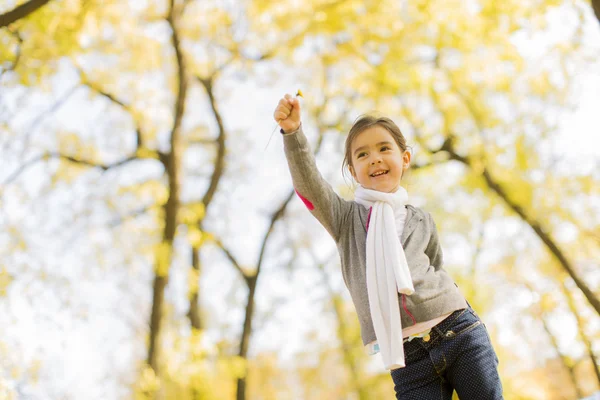 Little girl in the autumn park — Stock Photo, Image