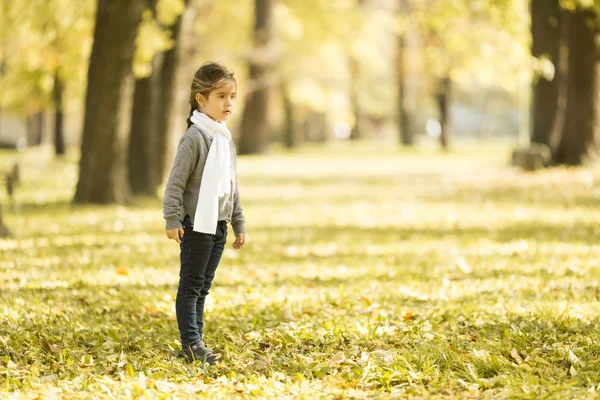 Bambina nel parco autunnale — Foto Stock