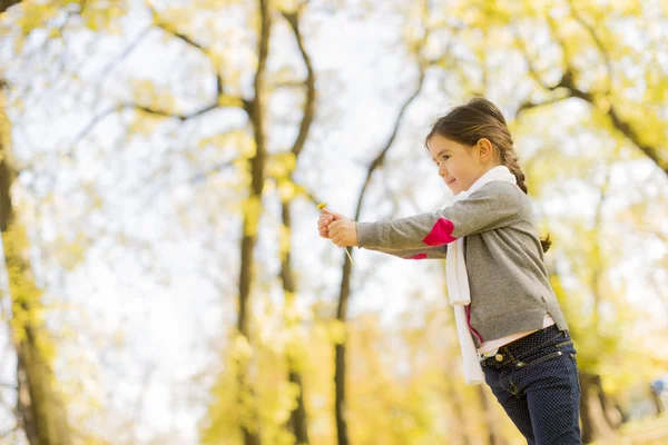 Menina no parque de outono — Fotografia de Stock