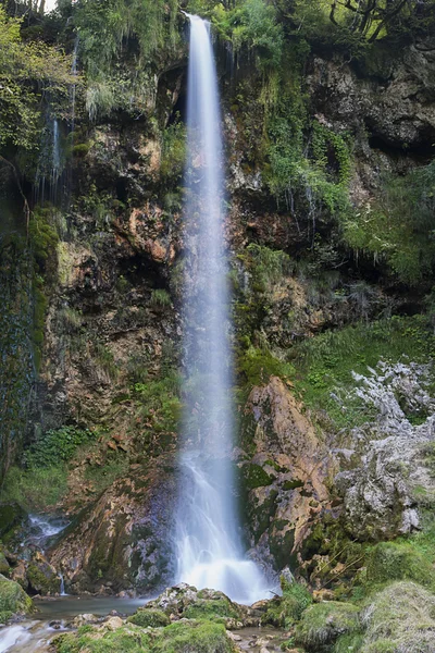 Vattenkaskad i skogen — Stockfoto