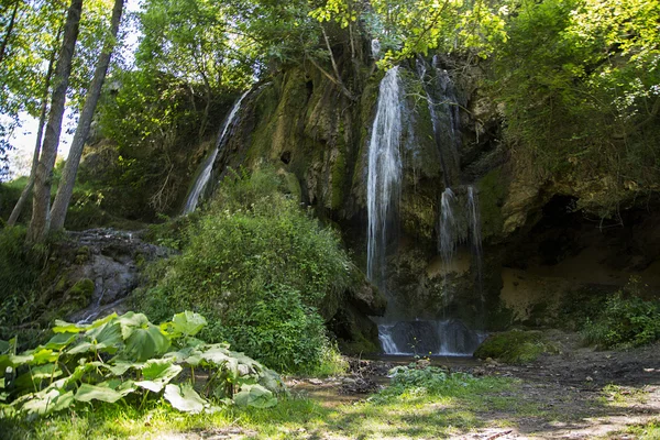 Ormanda su cascade — Stok fotoğraf