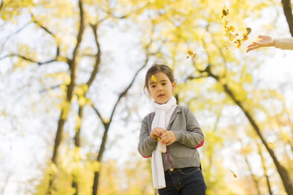 Bambina nel parco autunnale — Foto Stock