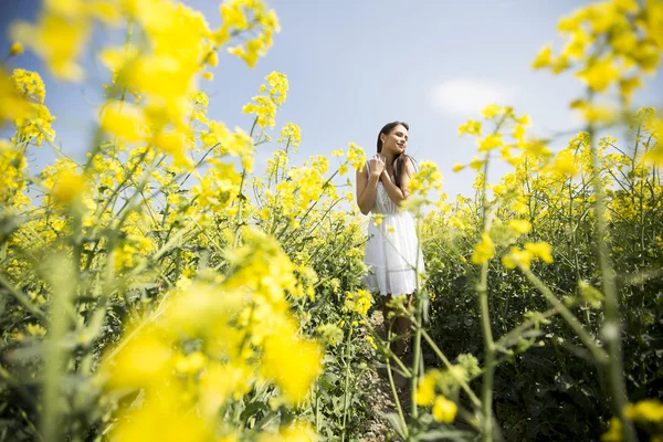 Giovane donna nel campo primaverile — Foto Stock