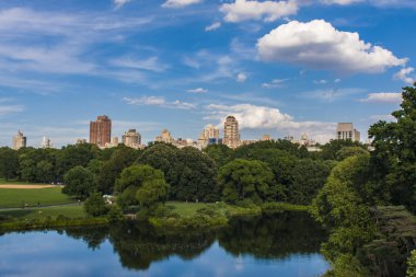 New York 'taki Central Park