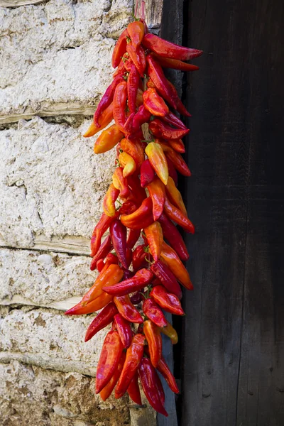 Pimentos vermelhos da páprica — Fotografia de Stock