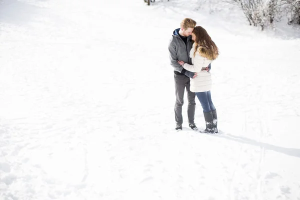 Mladý pár v winter park — Stock fotografie