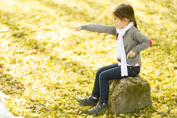 Liten flicka i höstparken — Stockfoto