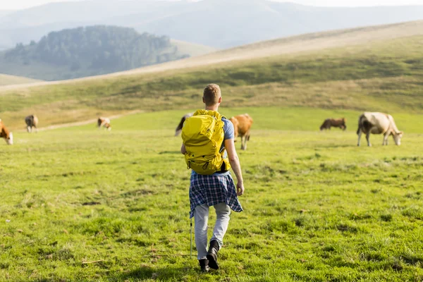 Genç adam Hiking — Stok fotoğraf