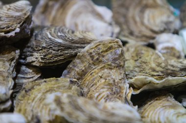 Taze istiridye hizmet