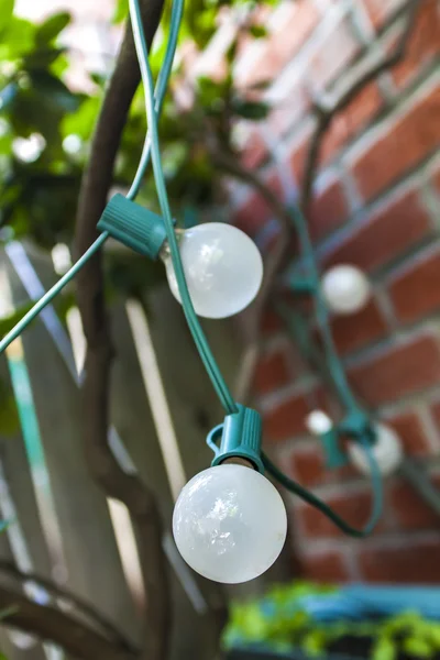 Лампочки в саду — стокове фото