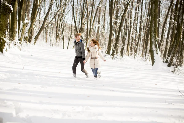 Pareja joven en el parque de invierno —  Fotos de Stock