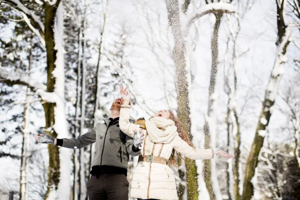 Young couple at winter park — Stock Photo, Image