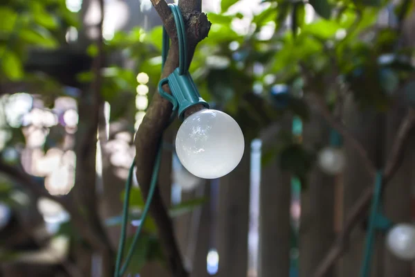 Gloeilampen in de tuin — Stockfoto