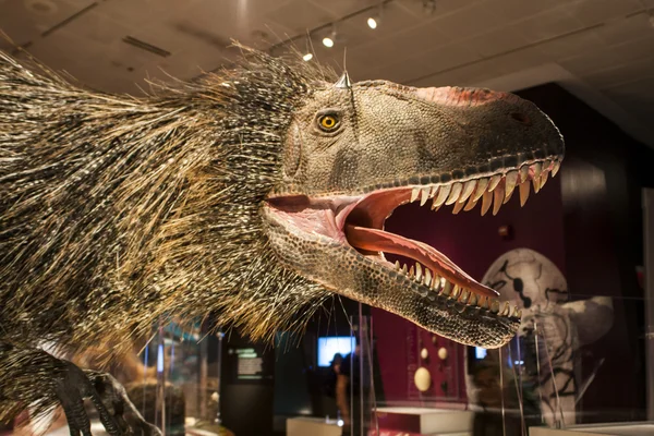 Yutyrannus huali nel Museo Americano di Storia Naturale — Foto Stock