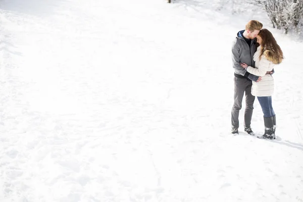 Jovem casal no parque de inverno — Fotografia de Stock