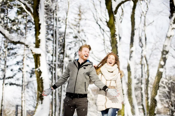 Jovem casal no parque de inverno — Fotografia de Stock