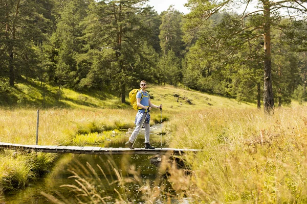 Jonge man wandelen — Stockfoto