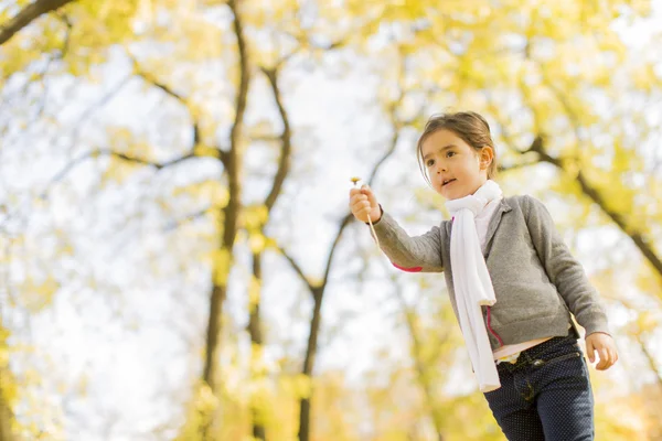 Little girl in the autumn park — Stock Photo, Image