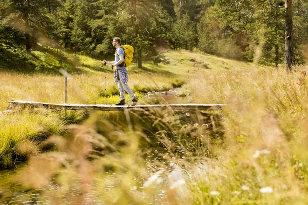 Genç adam Hiking — Stok fotoğraf