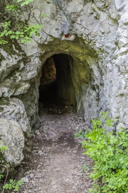 Small cave in Romania clipart