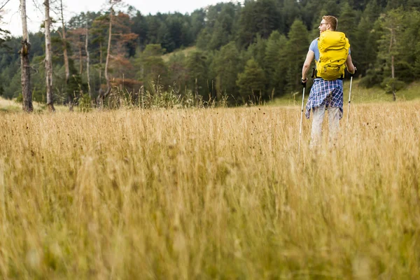 Jonge man wandelen — Stockfoto