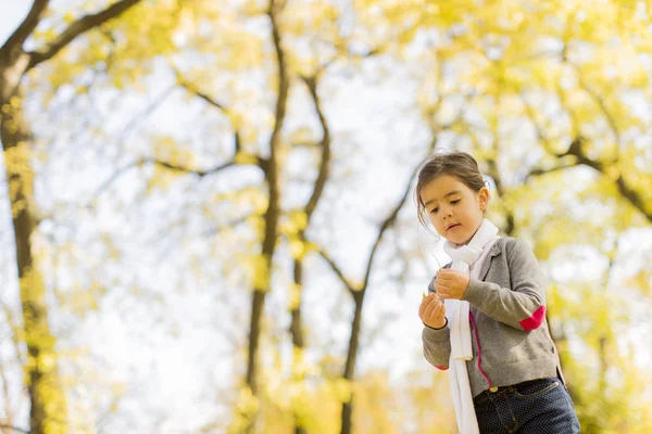 Lille pige i efteråret park - Stock-foto