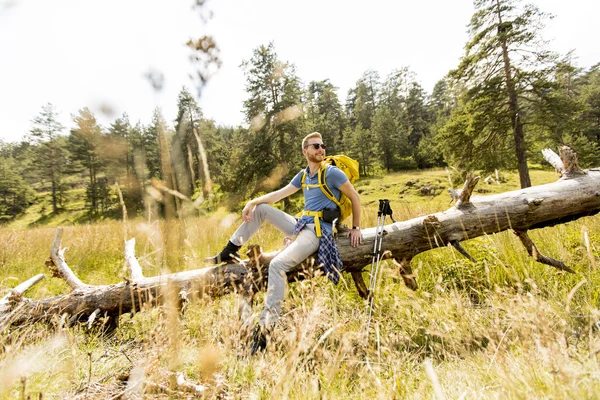 Genç adam Hiking — Stok fotoğraf