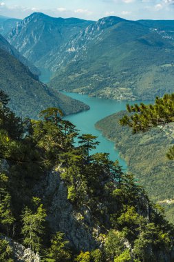 Sırbistan 'daki Tara dağından Perucac Gölü ve Drina Nehri manzarası