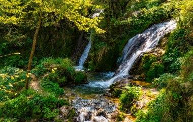 Sırbistan 'ın Zlatibor dağındaki Gostilje şelalesine bak