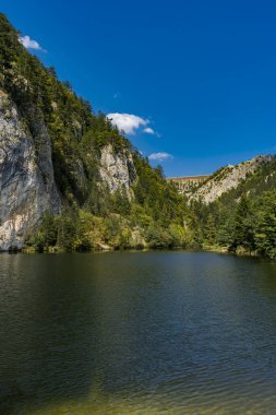 Sırbistan 'daki Zaovine Gölü' ne bak