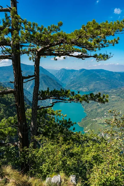 Vue Sur Lac Perucac Rivière Drina Depuis Montagne Tara Serbie — Photo