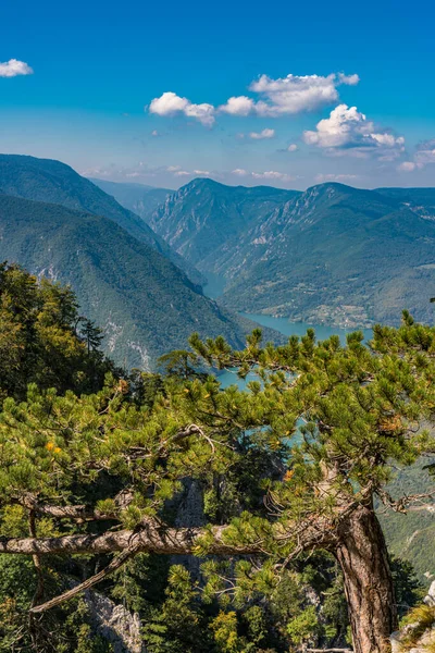 Vista Lago Perucac Río Drina Desde Montaña Tara Serbia —  Fotos de Stock