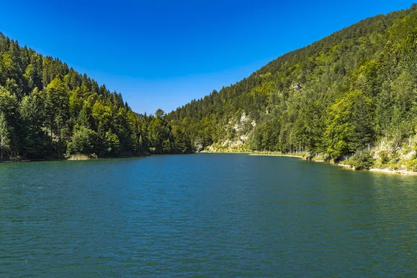 Sırbistan Daki Zaovine Gölü Bak — Stok fotoğraf