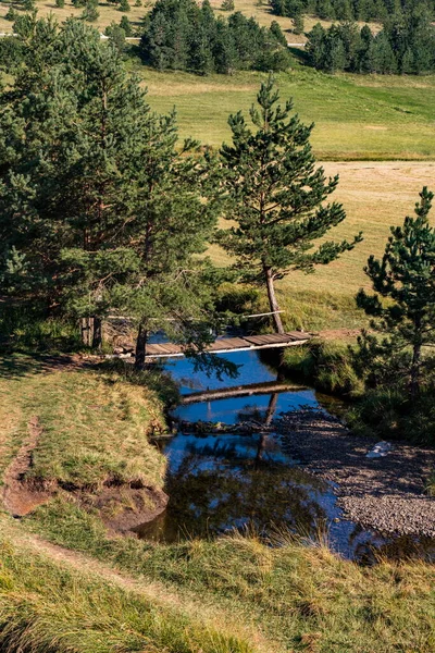 Kilátás Crni Rzav Folyóra Zlatibor Hegyen Szerbiában — Stock Fotó