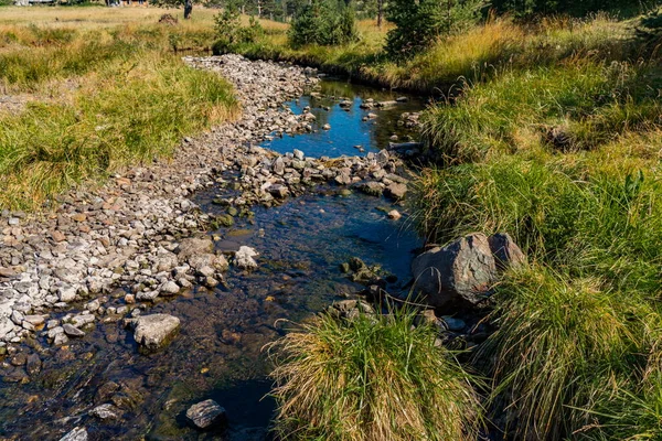 Sırbistan Zlatibor Dağındaki Crni Rzav Nehrinin Manzarası — Stok fotoğraf