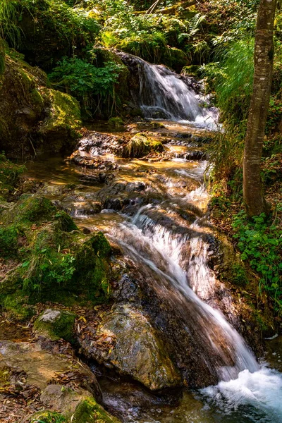 Veduta Sulla Cascata Gostilje Sul Monte Zlatibor Serbia — Foto Stock