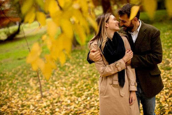 Bella Giovane Coppia Nel Parco Autunnale — Foto Stock