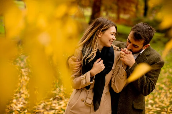 Bella Giovane Coppia Nel Parco Autunnale — Foto Stock