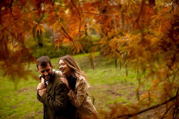 Beau Jeune Couple Dans Parc Automne — Photo