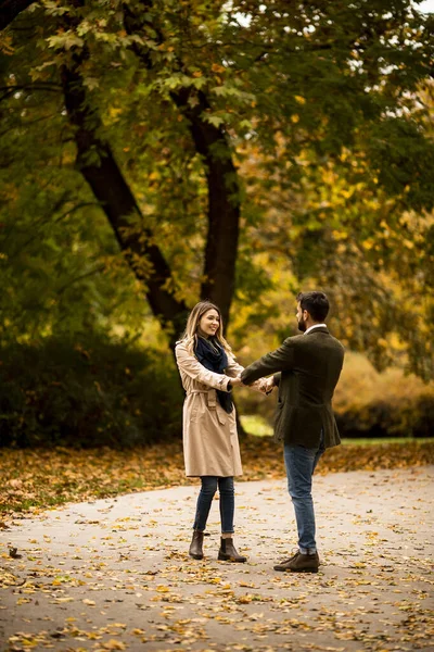 Bonito Jovem Casal Divertindo Parque Outono — Fotografia de Stock