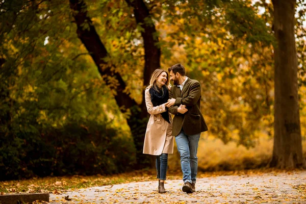 Handsome Young Couple Walking Autumn Park — Stock Photo, Image