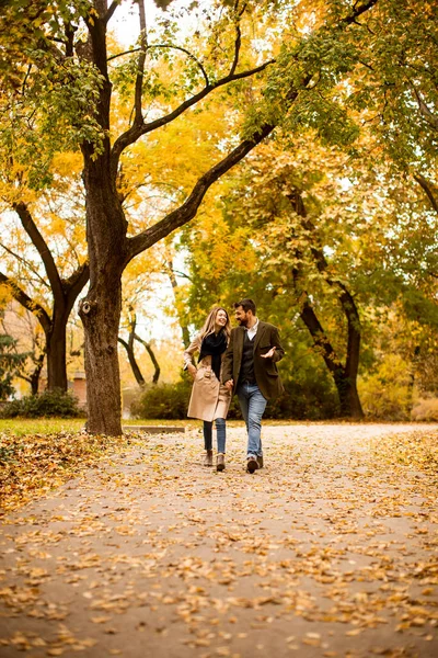 Hermosa Pareja Joven Caminando Parque Otoño —  Fotos de Stock