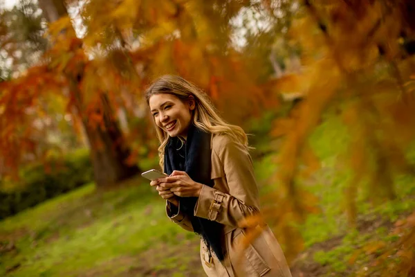 Mujer Bastante Joven Usando Teléfono Móvil Parque Otoño —  Fotos de Stock