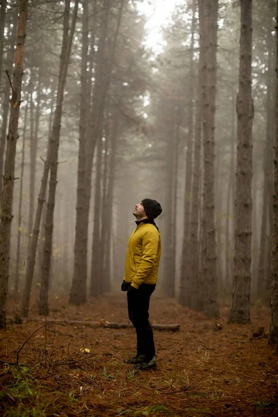 Handsome Young Man Running Autumn Forest Exercising Trail Run Marathon — Stock Photo, Image