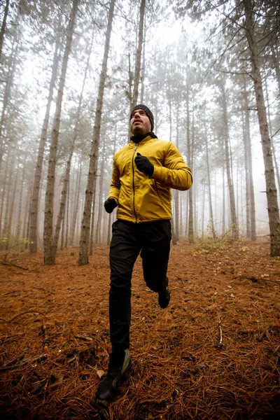 Handsome Young Man Running Autumn Forest Exercising Trail Run Marathon — Stock Photo, Image