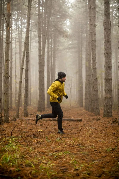 Guapo Joven Corriendo Bosque Otoño Haciendo Ejercicio Para Correr Sendero — Foto de Stock