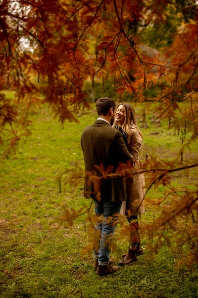 Handsome Young Couple Autumn Park — Stock Photo, Image
