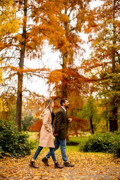 Handsome Young Couple Walking Autumn Park — Stock Photo, Image