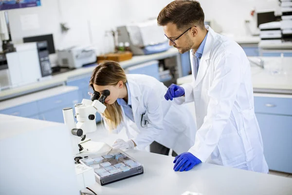 Jeunes Chercheurs Analysant Des Données Sur Chimie Minérale Laboratoire — Photo